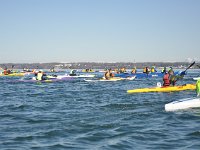 DSC_2525.JPG
