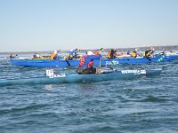 DSC_2526.JPG
