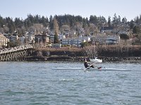 DSC_2528.JPG