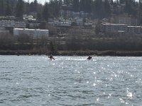 DSC_2947.JPG