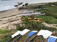 IMG_1566.jpg
