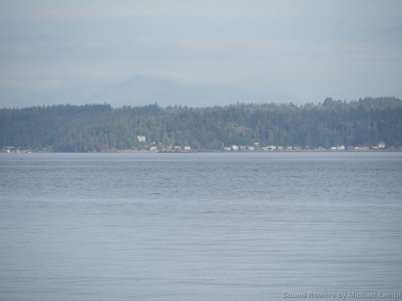 P8247051