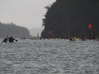 P2025507.JPG