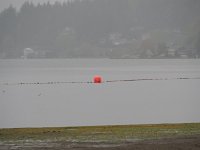 P4138025  Swim line has drifted towards the turn buoy
